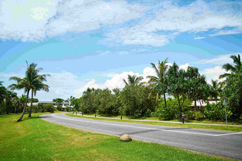 斐济岛旅游<strong>小道</strong>椰子树风景摄影图
