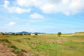 韩国<strong>沿海</strong>大片草地