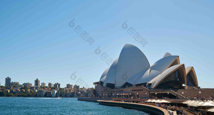 海岸边的悉尼歌剧院建筑群摄影图