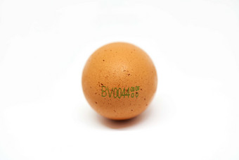 一只鸡蛋上印着标记标识