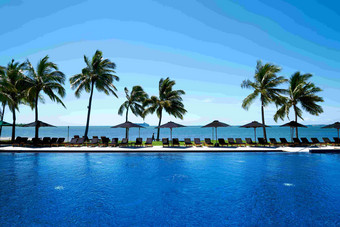 海游泳池度假胜地棕榈树风景摄影图
