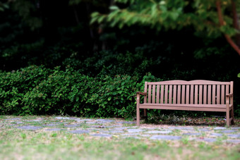 板凳上椅子公园摄影