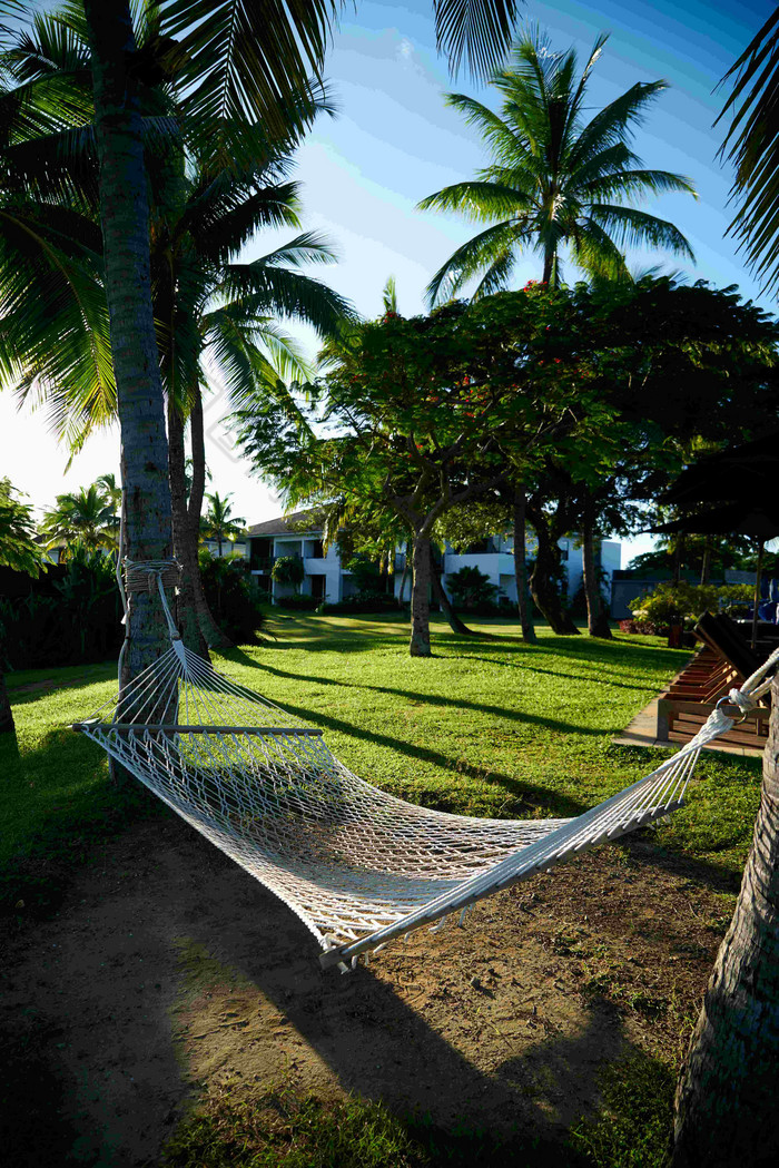 吊床斐济度假胜地现棕榈树风景图