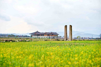 油菜地里<strong>天空</strong>碎花美丽<strong>的</strong>