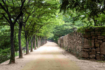 林间小路道路<strong>文化</strong>遗产场景摄影图