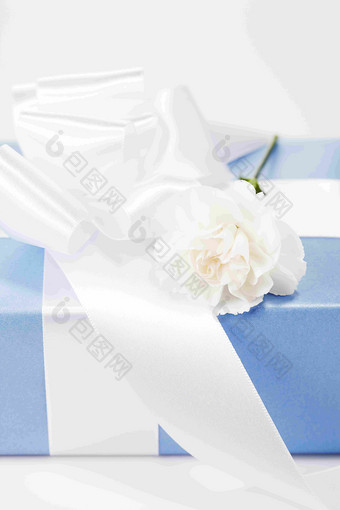 白色康乃馨蓝色礼品盒礼物盒特写静物图