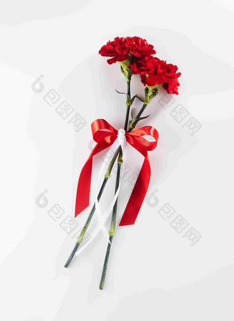 一束红色康乃馨鲜花节日礼物摄影图