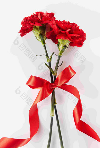 红色康乃馨鲜花花束节日礼物摄影图