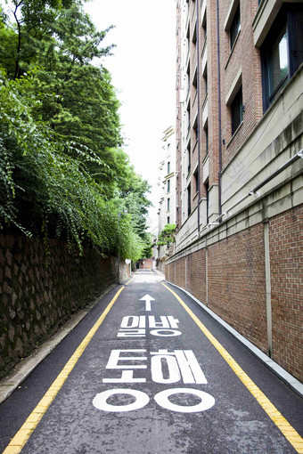 韩国城市小巷里的小道绿植场景摄影图