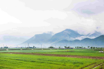 晨雾群山田野<strong>绿色生态</strong>空气清新