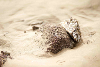 海滩风化沙粒砂砾细节特写摄影图