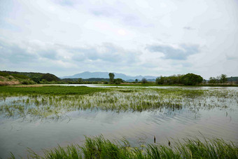 沼泽好的湿地<strong>生态</strong>