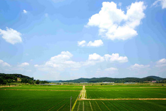 蓝天白云下<strong>大片</strong>农田农作物及群山