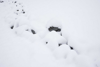 雪景场景梦想树