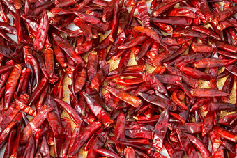 辣椒干红色的食物丰收场景图