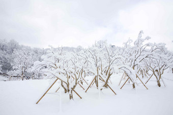 雪景场景梦想风景