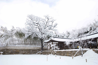 雪景场景梦想<strong>韩国</strong>