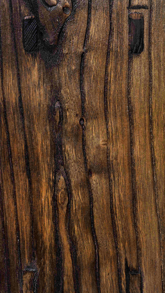棕色的树皮树纹素材摄影图