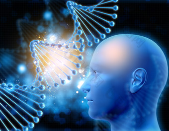 3D人体头部和DNA链
