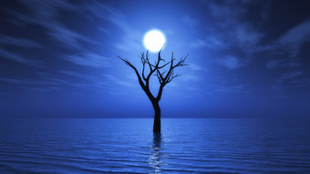 夜晚海<strong>水中</strong>的树木摄影图
