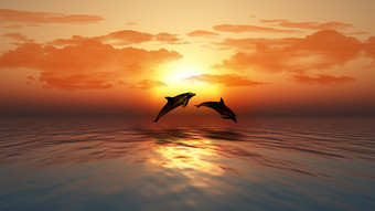 日落海洋与跳<strong>海豚</strong>