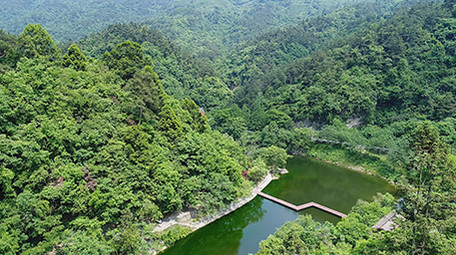 十堰武当山实拍自然风景森林航拍