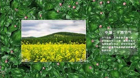 清新大气中国二十四节气之立夏AE图文模板