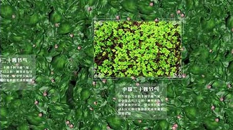 清新大气中国二十四节气之立夏AE图文模板