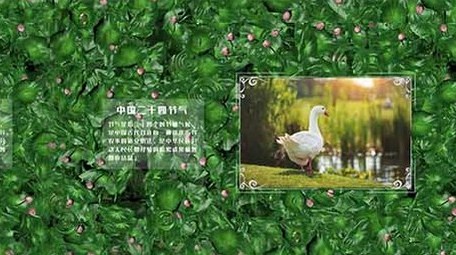 清新大气中国二十四节气之立夏AE图文模板