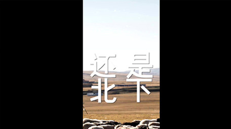 温馨轻快抖音竖版<strong>快闪图文</strong>旅游模板
