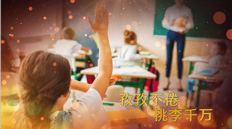 大气金色教师节感恩老师图文相册PR模板