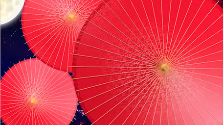 2020年中秋节唯美片头PR模板