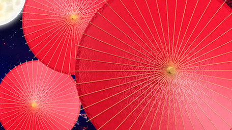 2020年中秋节唯美片头PR模板