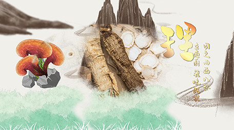 2020中医栏目片头