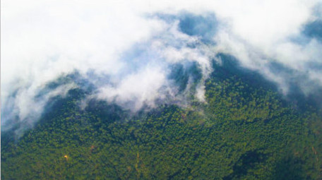 航拍森林云雾缭绕自然生态