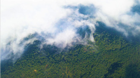 航拍森林云雾缭绕自然生态