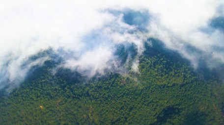 航拍森林云雾缭绕自然生态