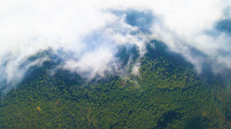 航拍森林云雾缭绕自然生态