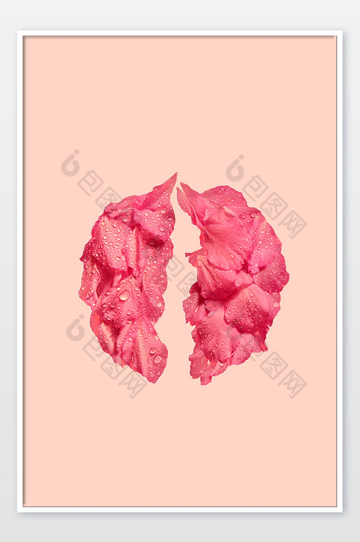 世界无烟日 吸烟有害健康 花瓣组成心肺图图片图片
