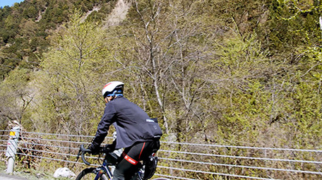 4K实拍森林骑自行车的运动员