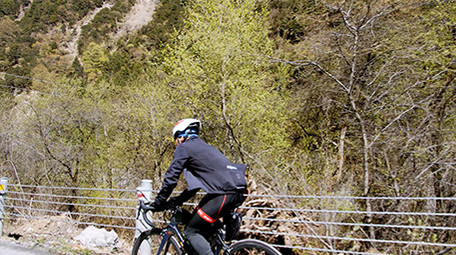 4K实拍森林骑自行车的运动员