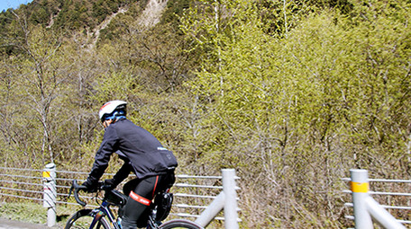 4K实拍森林骑自行车的运动员