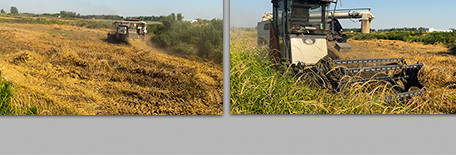 行业农业农民收割机收麦子4K实拍