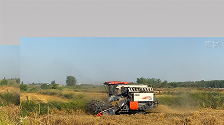 行业农业农民收割机收麦子4K实拍