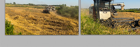 行业农业农民收割机收麦子4K实拍