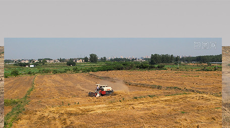 行业职业农业收割小麦农民劳作4K航拍