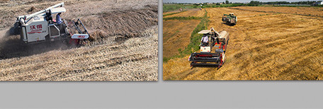 行业职业农业收割小麦农民劳作4K航拍