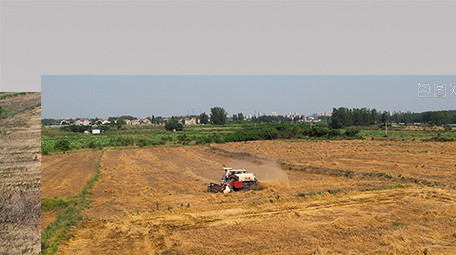 行业职业农业收割小麦农民劳作4K航拍