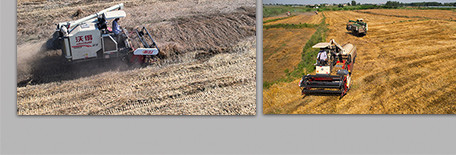 行业职业农业收割小麦农民劳作4K航拍