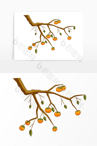 秋季植物柿子树柿子果实图片